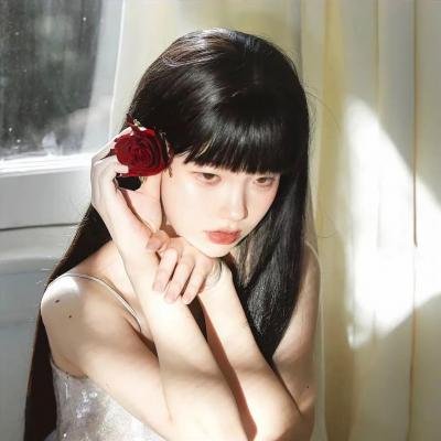 完美拍档2017