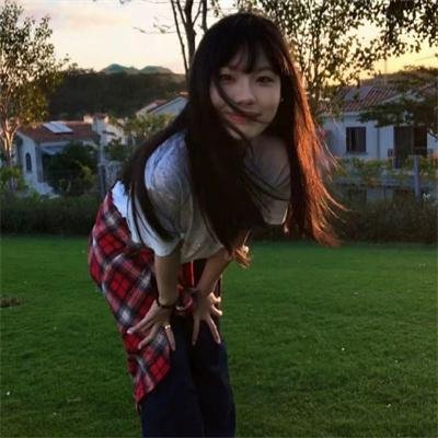 五香宫的猫