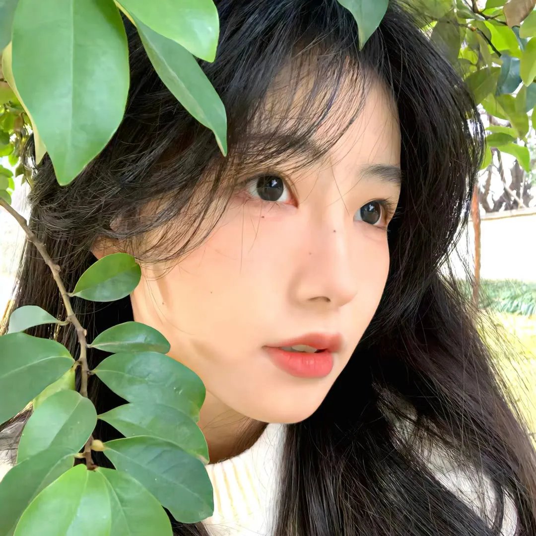 江湖菜馆第三季