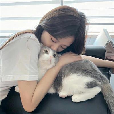 见爱不怪